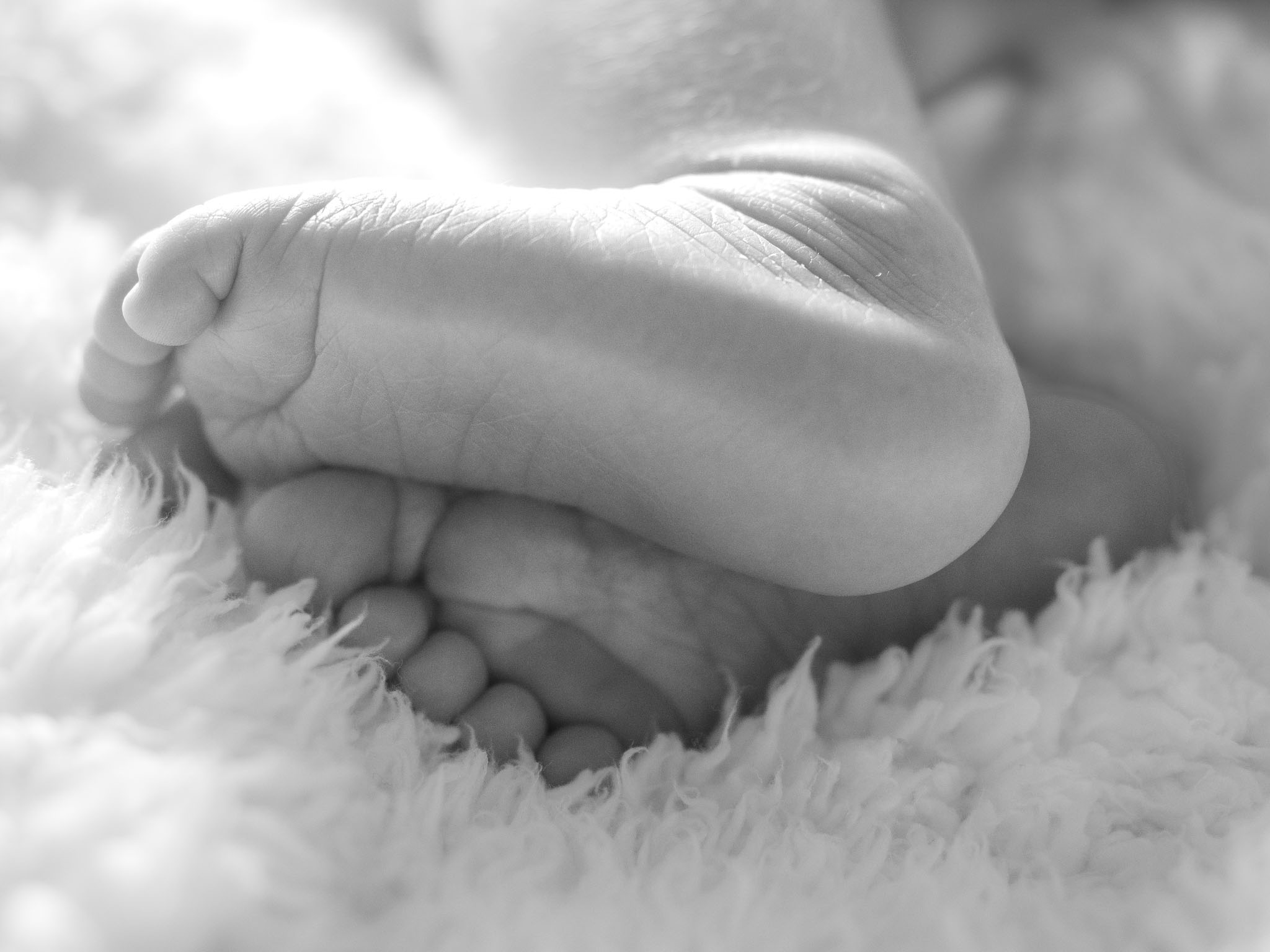 Portrait & Family Photography by Ann Forde, Perth (19)